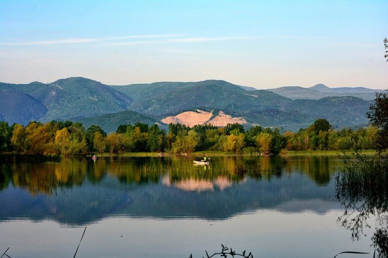 Sakarya Şehirler Arası Kurye